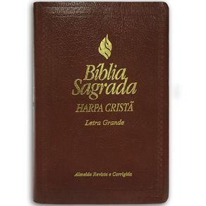 mical biblia
